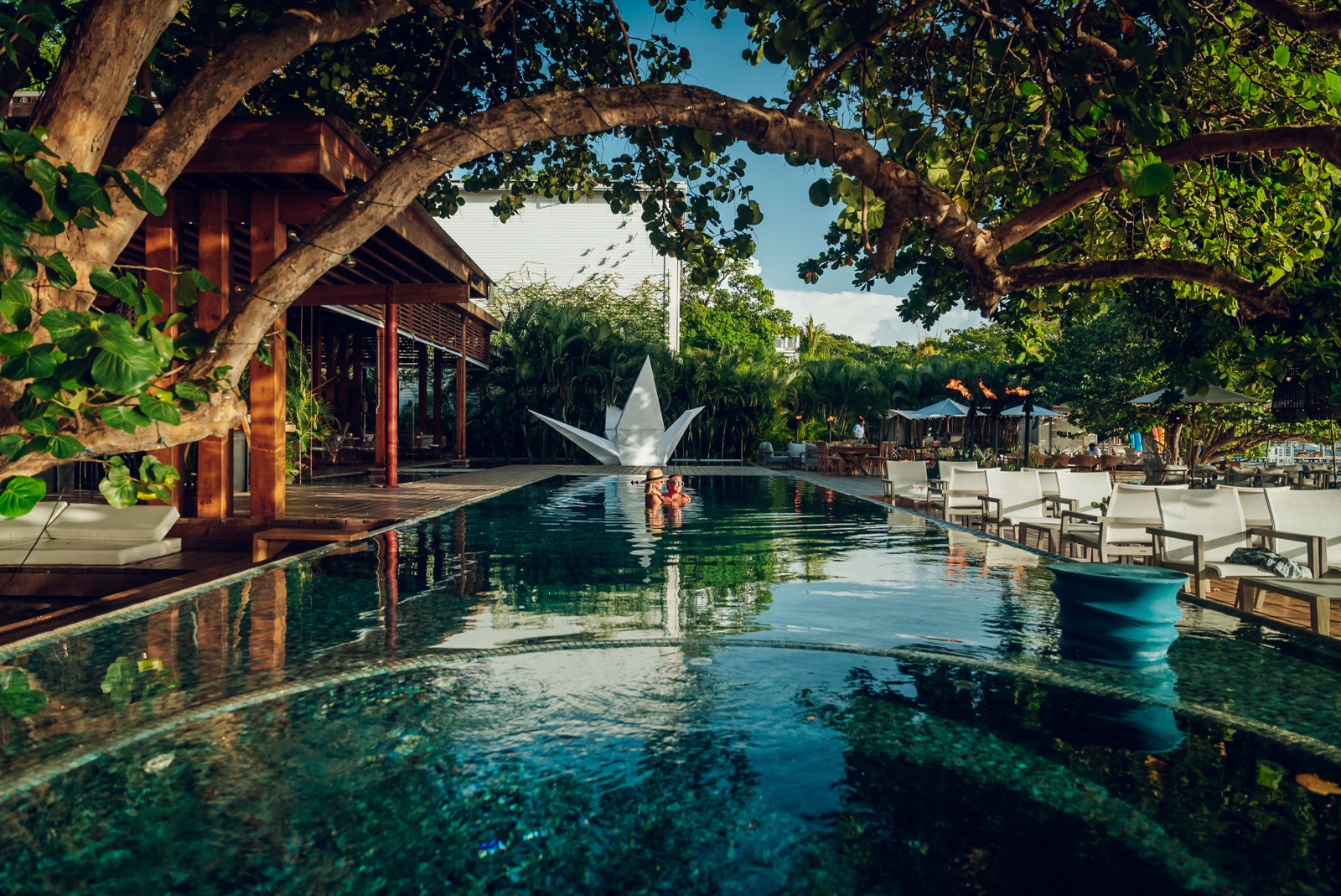 The paper crane resting on the pool under the tree
