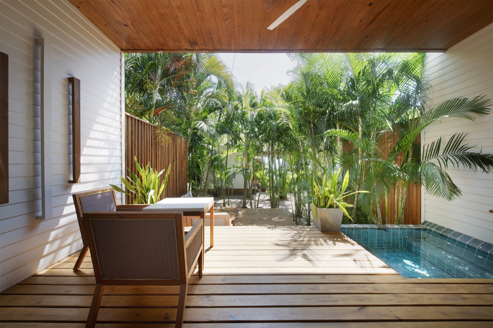 Deluxe Tropical Suite