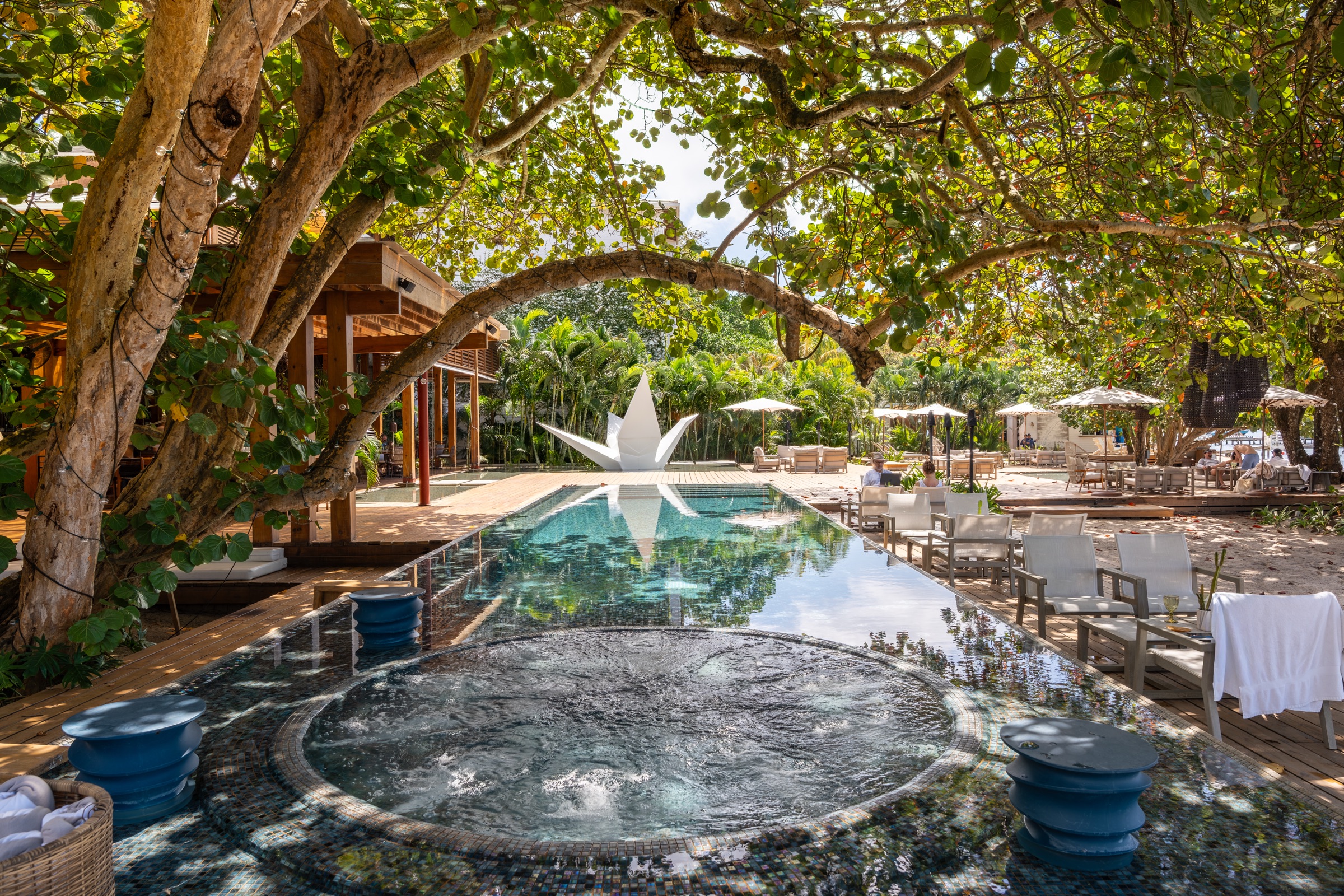 The pool under the great tree at the end of the day